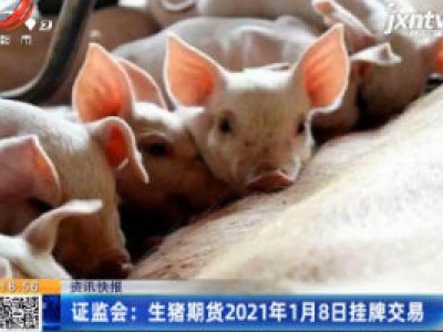证监会：生猪期货2021年1月8日挂牌交易