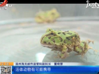 浙江温州：“玩具”邮包有蹊跷 竟藏了50只活的“招财蛙”