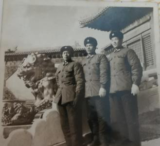 远志
