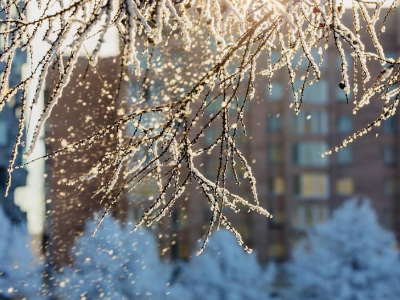 江西又要下雪了！12月29至30日冷空气来袭 