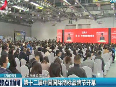 第十二届中国国际商标品牌节开幕