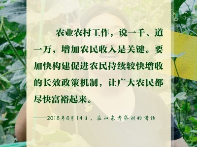 联播+｜总书记强调的这个重要尺度，关乎农民钱袋子