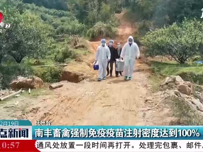 南丰畜禽强制免疫疫苗注射密度达到100%