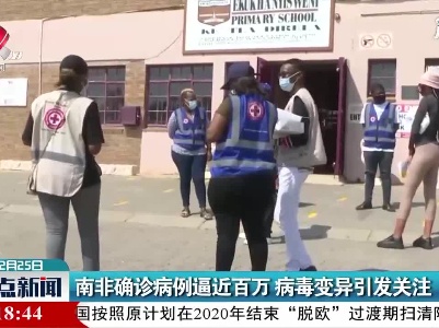 南非确诊病例逼近百万 病毒变异引发关注
