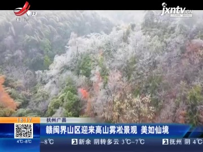 抚州广昌：赣闽界山区迎来高山雾凇景观 美如仙境