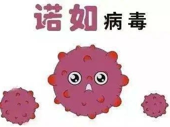 哈尔滨一小学100名学生发生诺如病毒感染
