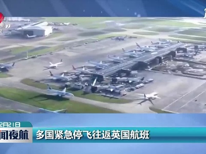 多国紧急停飞往返英国航班
