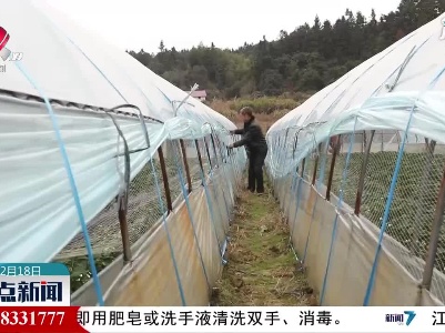 武宁县：抢做农作物防寒保温工作