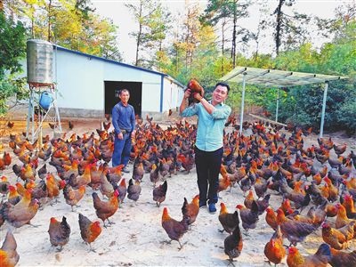 挑起“金扁担”的“网红书记”