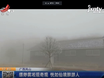 广西凤山：缥缈雾凇现奇观 恍如仙境醉游人