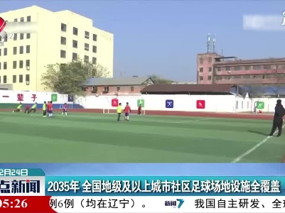 2035年 全国地级及以上城市社区足球场地设施全覆盖