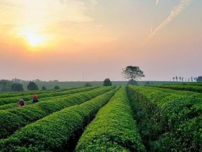江西十大文化 给想了解江西的朋友“划重点”