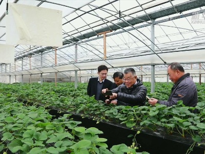 习近平时间丨让科技之光照进农家