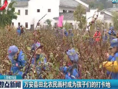 万安县田北农民画村成为孩子们的打卡地