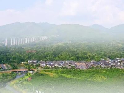 经济时评：乡村是消费增长“新一极”
