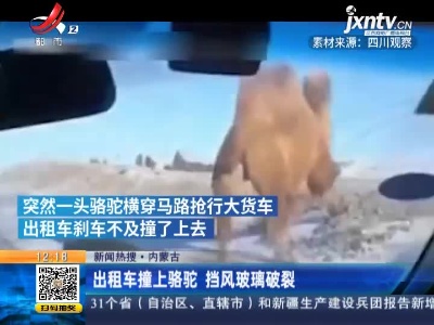 【新闻热搜】内蒙古：出租车撞上骆驼 挡风玻璃破裂