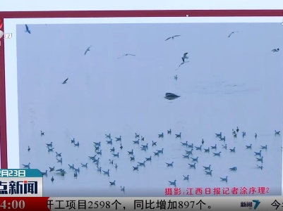 整点新闻20201223 14：00
