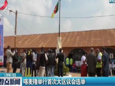 喀麦隆举行首次大区议会选举