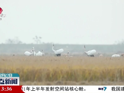 整点新闻20201227 14:00