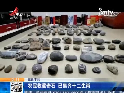 福建平和：农民收藏奇石 已集齐十二生肖