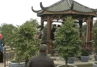 【聚焦“放管服”改革 曝光“怕慢假庸散”·后续】南昌西湖区：“空中花园”违建部分拆除 私自封闭楼层也将被处理