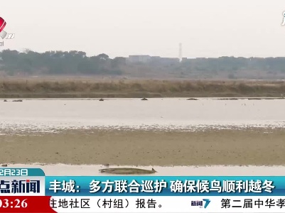丰城：多方联合巡护 确保候鸟顺利越冬