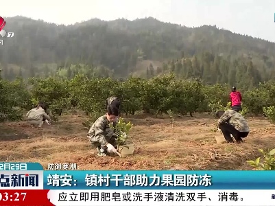 防御寒潮·靖安：镇村干部助力果园防冻