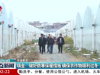 【防御寒潮】瑞金：做好防寒保暖措施 确保农作物顺利过冬