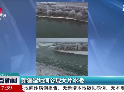 新疆湿地河谷现大片冰凌