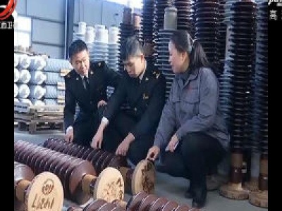 萍乡海关助力电瓷产业“走出去”