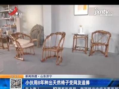 【新闻热搜】山东济宁：小伙用8年种出天然椅子受网友追捧