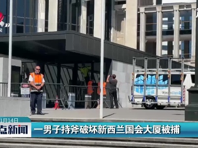 一男子持斧破坏新西兰国会大厦被捕