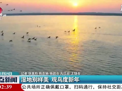 鄱阳湖：湿地别样美 观鸟度新年