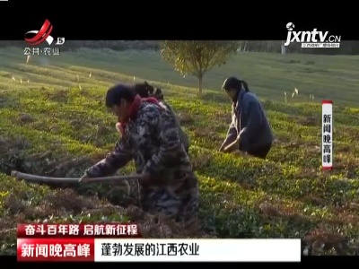 【奋斗百年路 启航新征程】蓬勃发展的江西农业