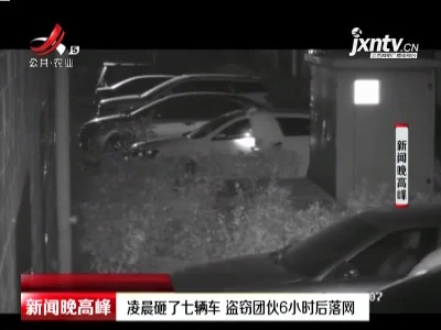 江苏：凌晨砸了七辆车 盗窃团伙6小时后落网