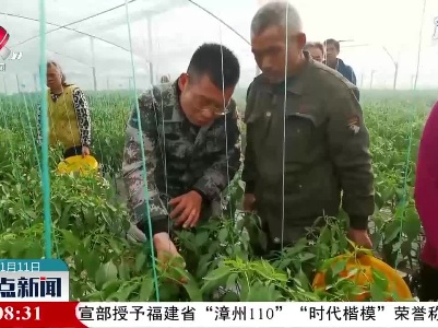 赣州：积极应对低温天气 保障蔬菜产业发展