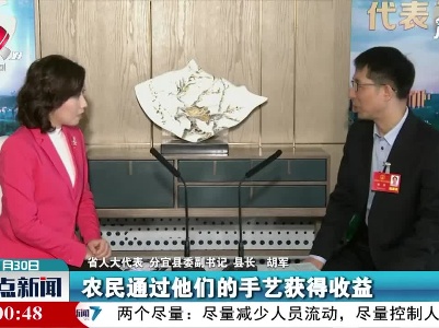 【代表委员话江西】胡军：创新传统手工业为农民增收