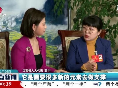 【代表委员话江西】郭翀：乡村振兴需更多新元素支撑