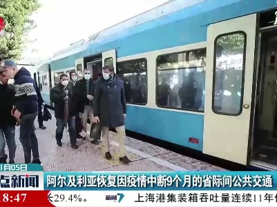 阿尔及利亚恢复因疫情中断9个月的省际间公共交通