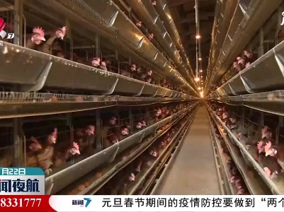 禽流感致“蛋荒” 韩拟临时取消蛋类进口关税