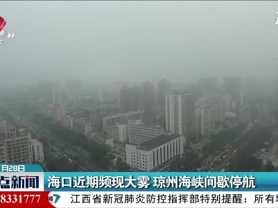 海口近期频现大雾 琼州海峡间歇停航