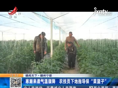 【赣闻天下】赣州宁都：寒潮来袭气温骤降 农技员下地指导保“菜篮子”