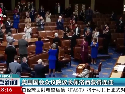 美国国会众议院议长佩洛西获得连任