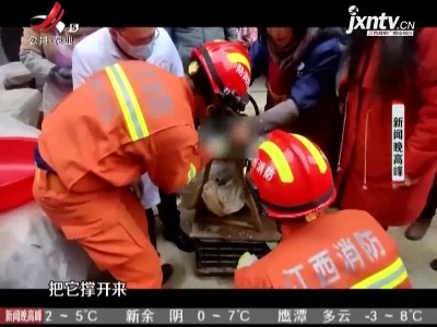 宁都：隔着屏幕都疼 女子手被卡绞肉机