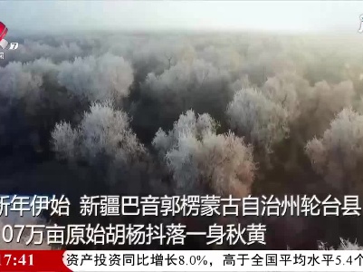 新疆轮台：百万亩大漠胡杨披银装