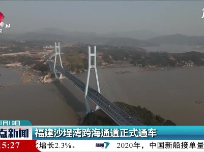 福建沙埕湾跨海通道正式通车