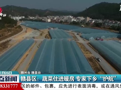 赣县区：蔬菜住进暖房 专家下乡“护航”