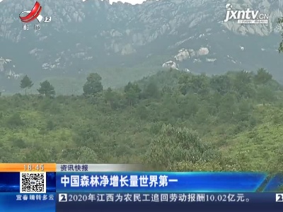 中国森林净增长量世界第一