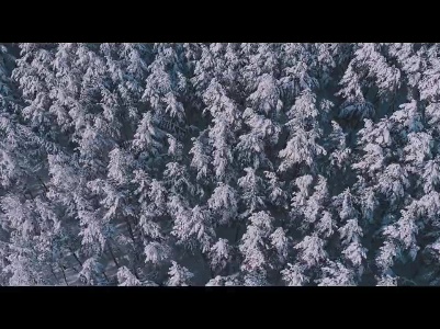 冬日庐山 落雪成诗