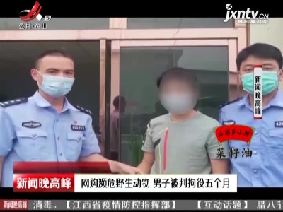 武汉：网购濒危野生动物 男子被判拘役五个月